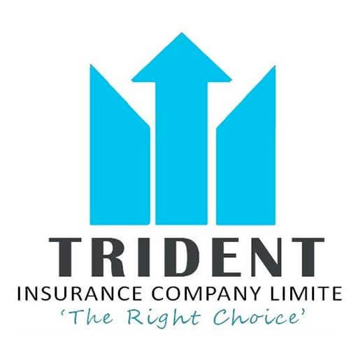 clients-logo-trident
